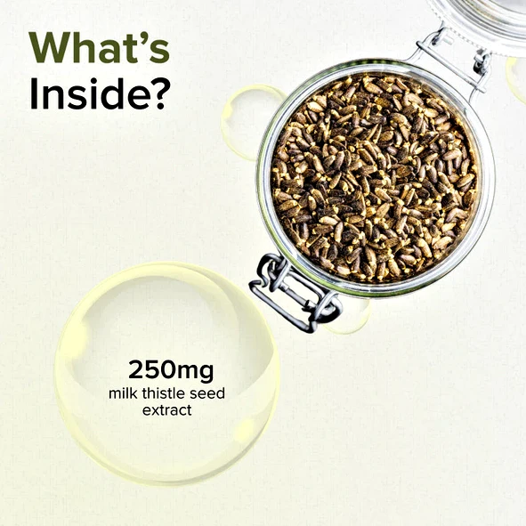 gnc-herbal-plus-milk-thistle-GNC-SUP-UN-1UN-3-3-1.webp gnc-herbal-plus-milk-thistle-GNC-SUP-UN-1UN-3-3-1.webp